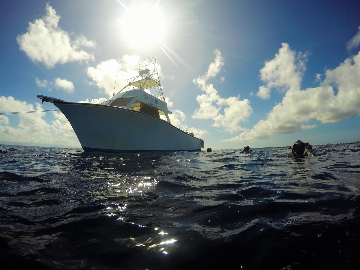 Utila Lodge Экстерьер фото
